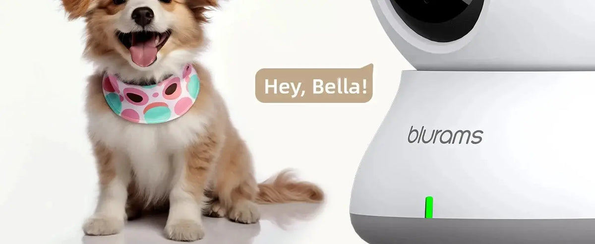 BoyKeep Baby Monitor Camera 2K HD Motion Detection And Two Way Audio 360 View - stepyours.com