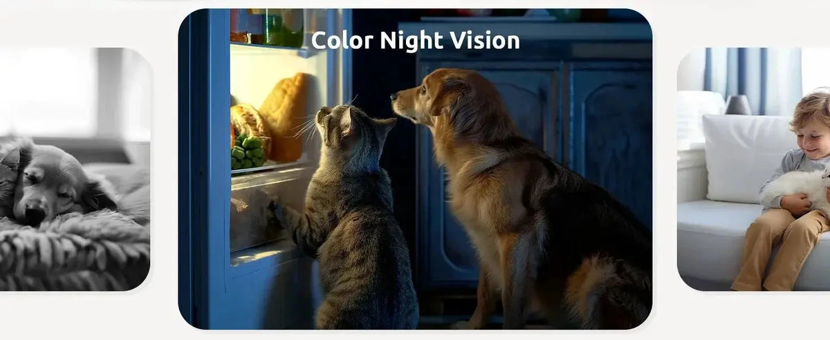 Blurams 2K Indoor Camera - 360 Pet And Elder Surveillance With OneTouch Call - stepyours.com