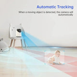 WiFi PTZ Security Camera With Night Vision And Remote Access