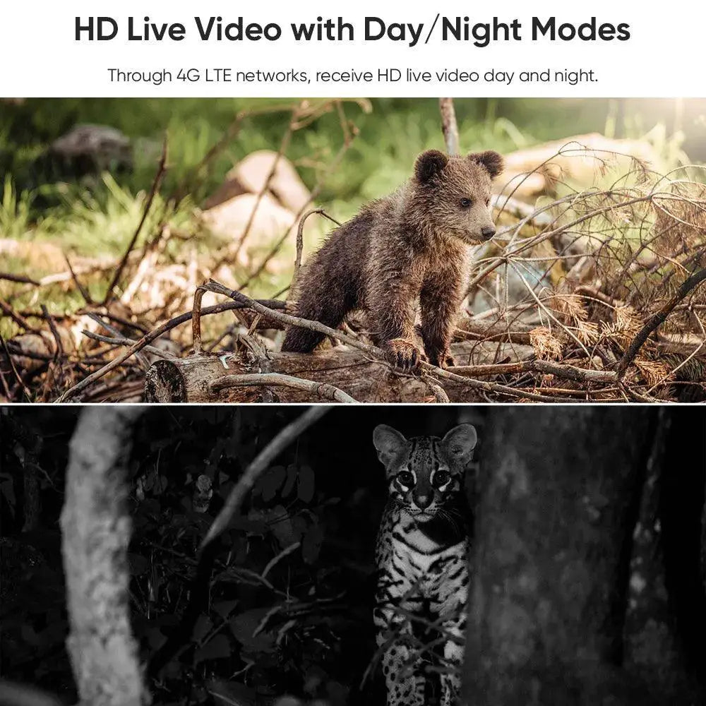 LS Vision Solar Security Camera Color Night Vision